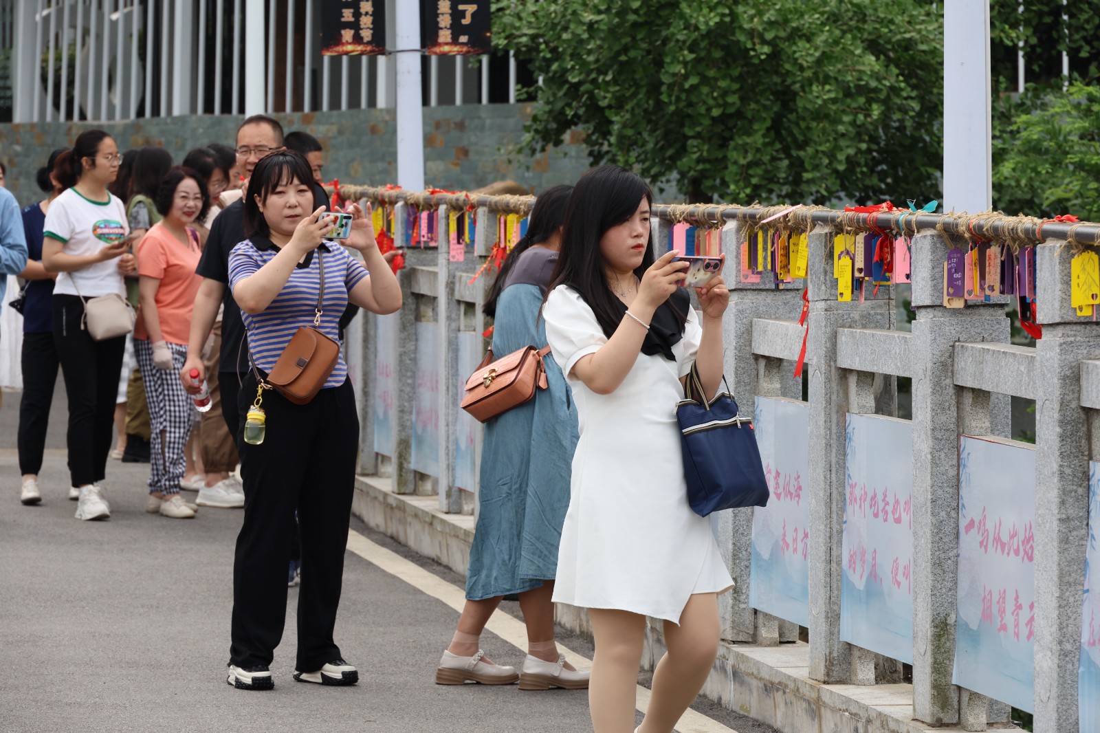 3R0A0703.JPG 3R0A0703.JPG